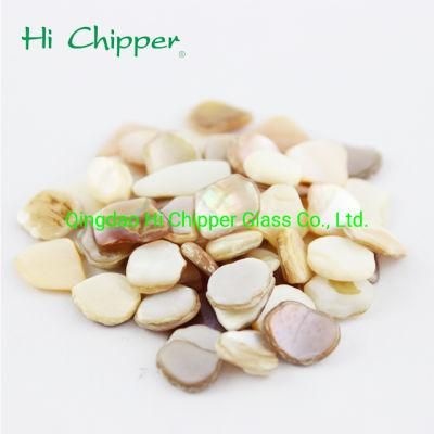 Crushed Natural Shell Debris for Concrete Terrazzo Engineered Stone Decoration