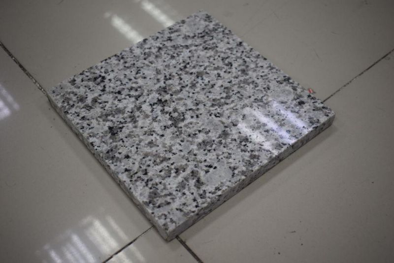 China Top White Granite/Jx G655 Granite/Jx G655 Granite for Floor/Background