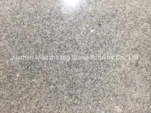 New G603 Sesame White Padang Light Granite Stone