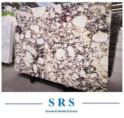 Calacatta Viola Marble Slab for Flooring Tiles/Countertop