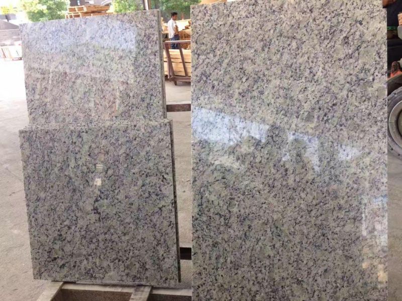 Champagne Gold Star Granite with Smooth Surface Use for Outdoor Decoration