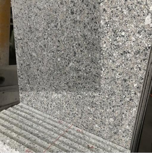 Chinese Granite for Tile and Countertop