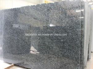 Polished Blue Pearl Granite Big Slab for Kitchen Countertop, Vanity Top