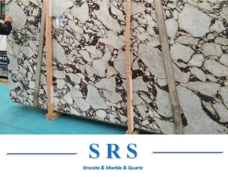 Calacatta Viola Marble Slab for Flooring Tiles/Countertop