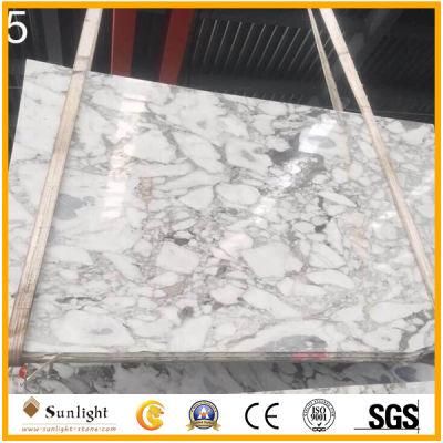 China Cheap Polished White Stone Arabescato White Marble for Floor/Wall