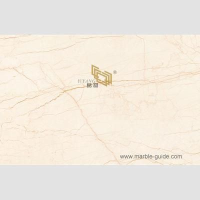 Chinese Building Material Gold Sintered Stone for Interio Decoration/Tiles/Flooring/Wall