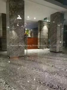 Popular Bianco Antico Silver Color Granite for Wall/Flooring