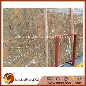 Imported Rainforest Brown Marble Slab