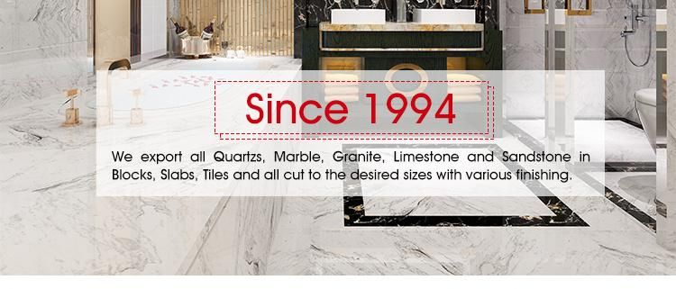 Modern Style Wall Tile Medallion for Home Decoration with Samples Available