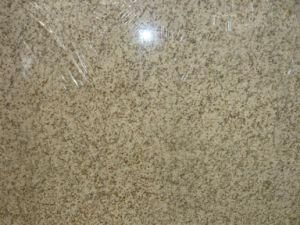 Imported Granite Tailand Gold for Tiles/Countertops/Kitchentops/Hotel/Building Materials