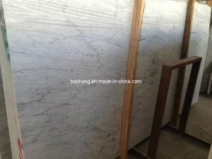 Chinese Natural Statuario Marble for Flooring Wall Tile Slab
