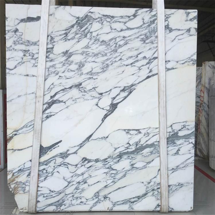 China Cheap Polished White Stone Arabescato Corchia White Marble