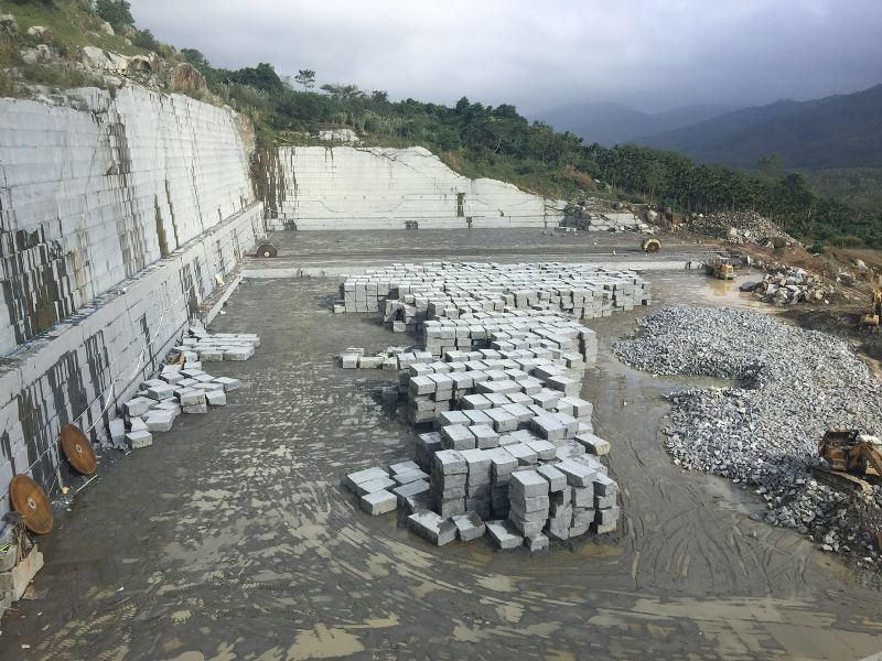 Natural Stone Tiger Skin White Yellow G603 G602 G664 G687 G623 G635g636 G603 G654 G682 G684 Granite Tiles for Kitchen Bathroom Floor Tile Stairs Risers
