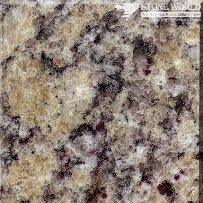 Polished Samoa Granite Tiles for Flooring &amp; Wall (MT027)