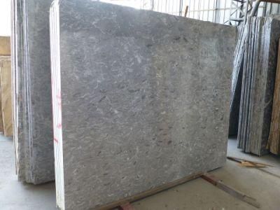 Hot Sales Grey King Flower Marble Tiles for Bathroom and Wall