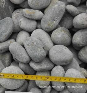 Natural Grey Pebble Stone for Garden and Landscape
