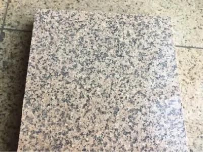 China Golden Leaf Granite Slabs/Tiles for Cladding/Kitchen Countertop/Paving Stone/Contraction Material