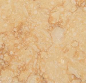 Nature Marble Floor Tile for Indoor Decoration
