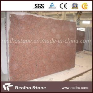 G562 Maple Red Granite Slab for Floor &amp; Stair