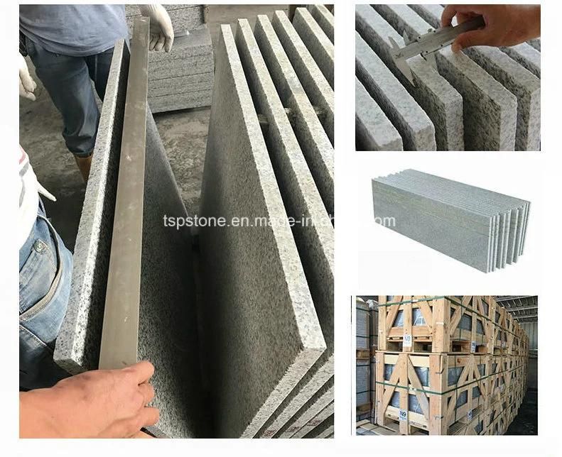 Natural Stone Marble Flooring Slab for Project