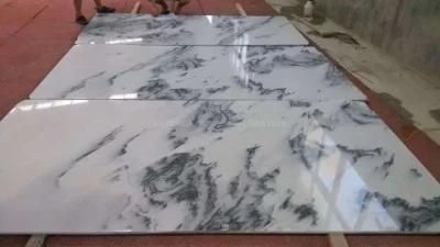 White Marble with Grey Cloud Slabs/Tiles Wall Floor Tile/Interior Decoration
