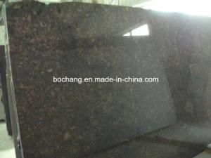 Polished Gold Jake/Coffee Marble for Floor and Wall