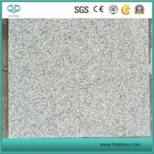 China G603 Grey Granite Luna White Grainte Stone/Covering/Flooring/Paving/Tiles/Slabs/Granite