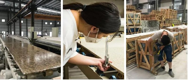 Gold Granite of Chinese Cheap Stone for Exterior Wall/Decoration Verniz Tropical