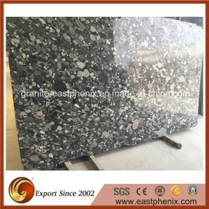 Perfect Quality Blue Grantie Slab for Countertop, Vanity Top/Wall