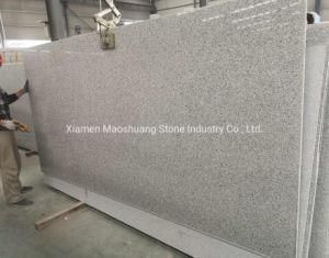 Cheap Price Grey/White Granite Slabs