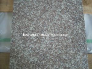 Natural Polished G664 Granite Floor Tile