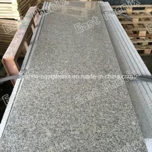 Polished Grey Granite for Wall Tile