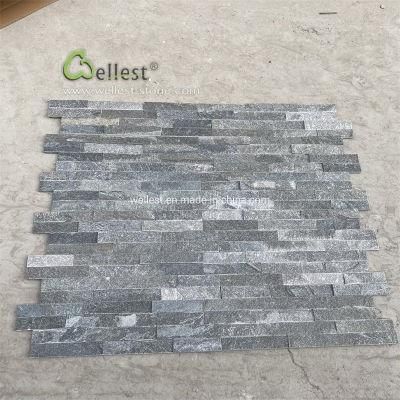 Black Quartzite Exterior Decorate Wall Panel