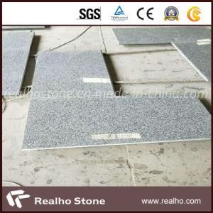 Cheap Price Polished Surface Chinese New G603 Grey Granite for Kitchen Countertop
