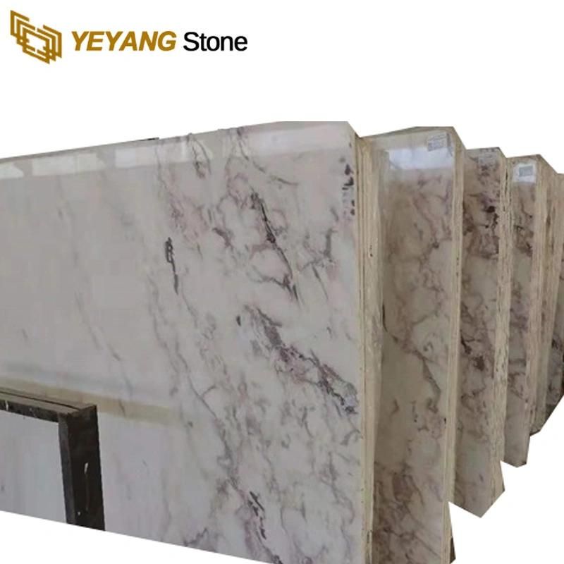 Natural Polished Violet Marble for Interior Flooring Tiles