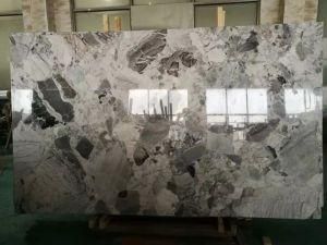 Polished Da Vinci Marble Slabs