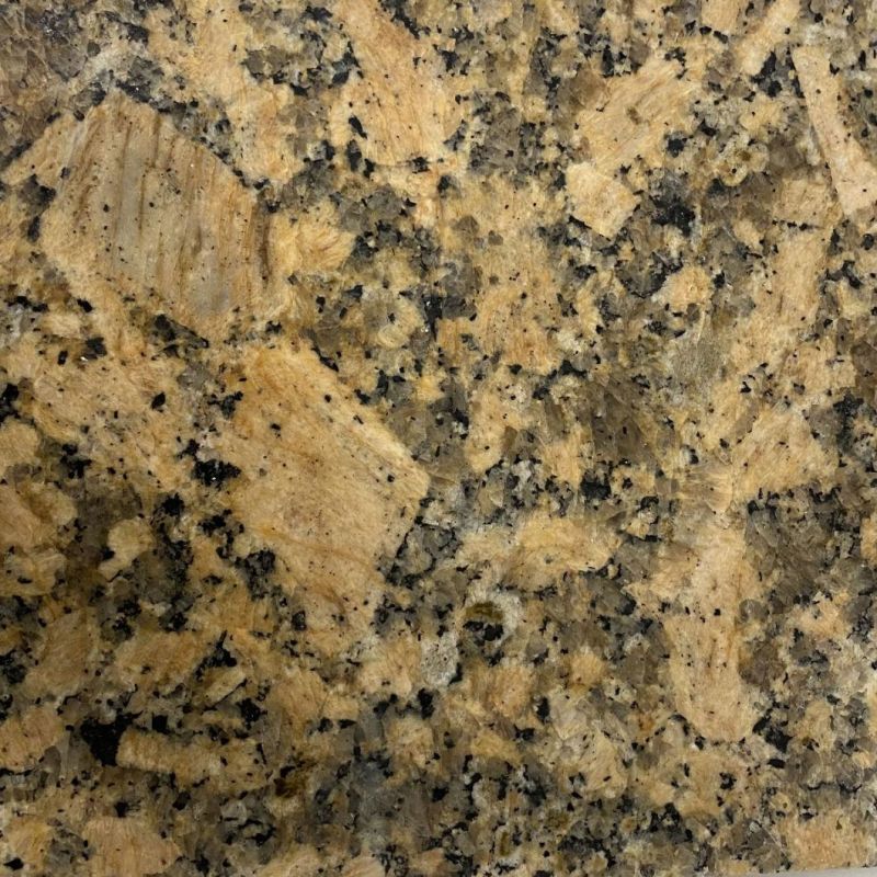 Brazil Giallo Fiorito Granite Golden/Yellow Exotic Granite Polished Big Slabs