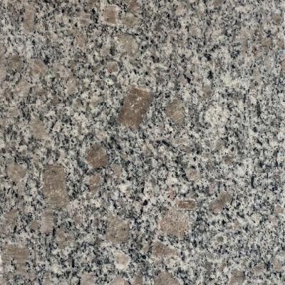 Cheap Gray Stone Big White Flower Pearl Granite Floor Tiles, Wall Tiles