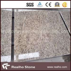Popular Brazilian Stone Giallo Ornamental Granite Countertops for Kitchens