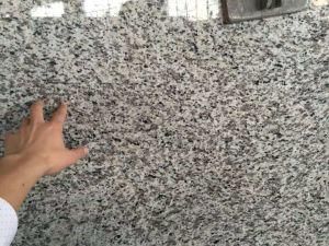 China Tiger Skin White Granite for Slabs, Tiles and Countertops