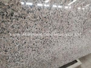 New Maple Red Rosa Pink Porrino Granite