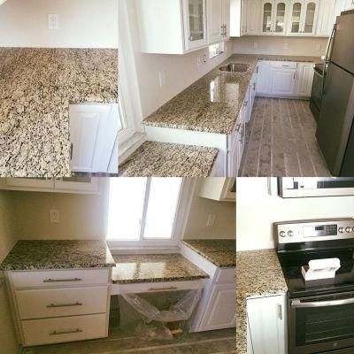 Factory Supply Santa Cecilia Light Granite for Countertops/Vanity/Island/Bar Top Wholesale