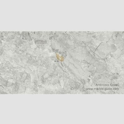Natural Marble Look Ambrosia Gray Sintered Stone for Interio Wall/Flooring/Countertop/Vanity