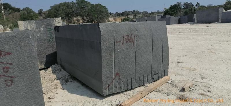 Natural Black Granite Slabs/Tiles/Blocks/Stone Wholesale