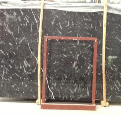 Fossil Black Marble Slab and Tile