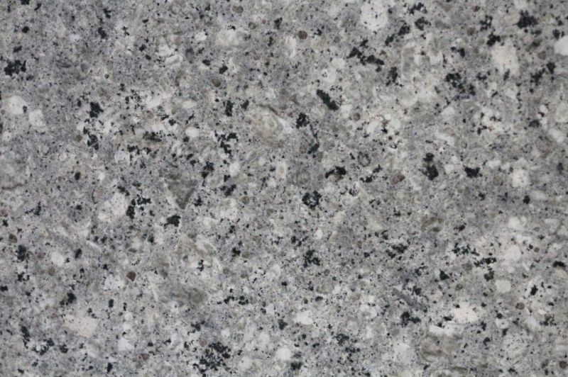 Nature Stone Austin Tx Bianco Antico Homogeneous Granite Tile