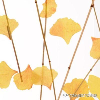 Translucent Backlit Acrylic Sheet for Wall Cladding