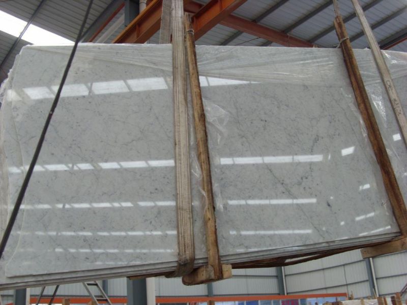 Natural Stone White Marble Bianco Carrara Marble Wall & Flooring Tiles
