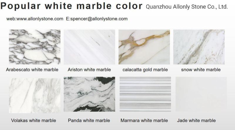 800X800 Floor Tile Ariston Venus White Marble for Wall