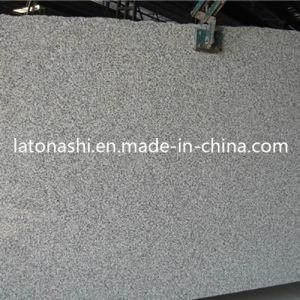 Polished G623 Grey Granite Gang Saw Big Slabs for Paving